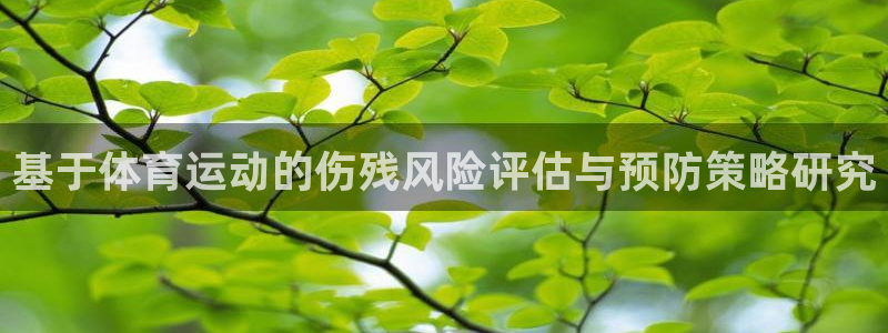 杏悦2体育凯捷平台代理：基于体育运动的伤残风险评估与预防策略研究