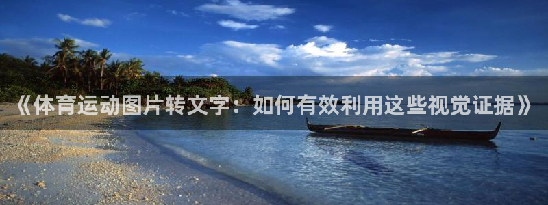 杏悦2体育注册平台：《体育运动图片转文字：如何有效利用这些视觉证据》