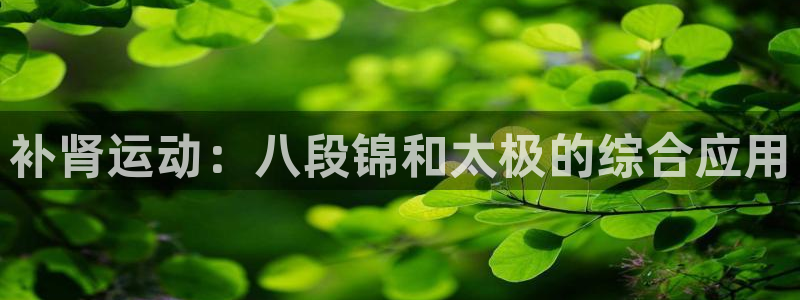 意昂：补肾运动：八段锦和太极的综合应用