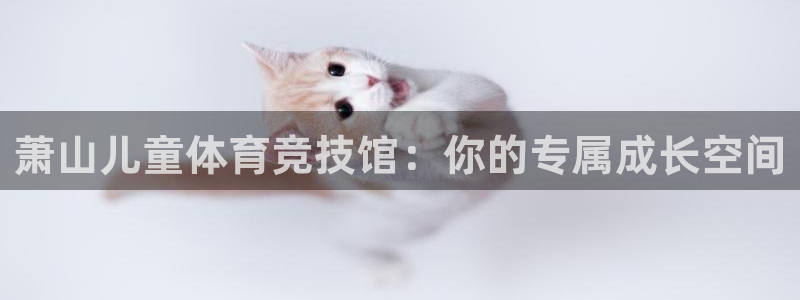 杏悦2电子有限公司：萧山儿童体育竞技馆：你的专属成长空间