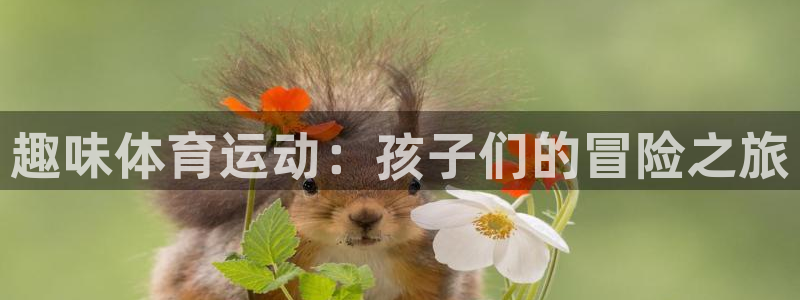 意昂体育注册代理：趣味体育运动：孩子们的冒险之旅