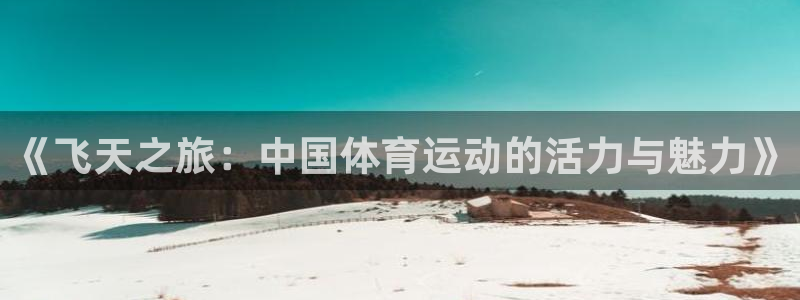 杏悦2体育平台开号链接：《飞天之旅：中国体育运动的活力与魅力》