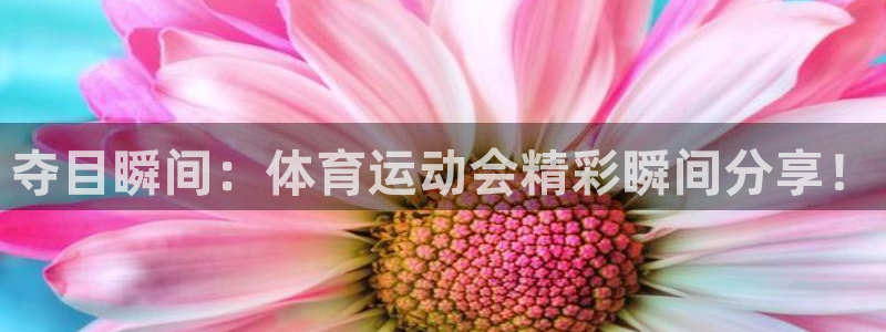 杏悦24：夺目瞬间：体育运动会精彩瞬间分享！