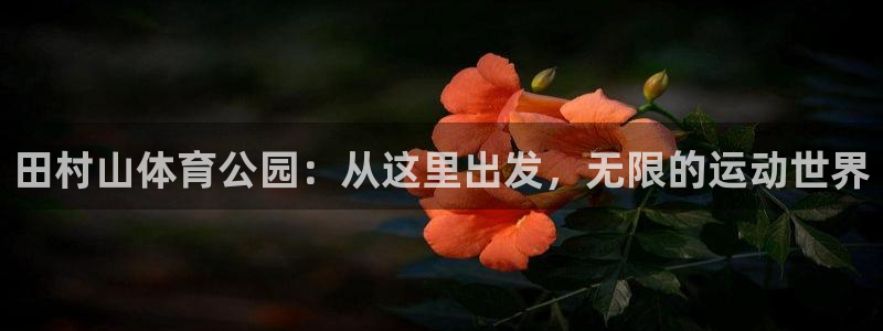 杏悦2体育游戏：田村山体育公园：从这里出发，无限的运动世界