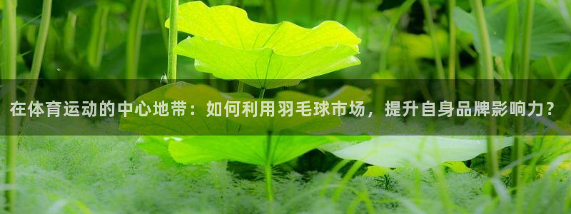 杏悦2体育官网登录：在体育运动的中心地带：如何利用羽毛球市场，提升自身品牌影响力
