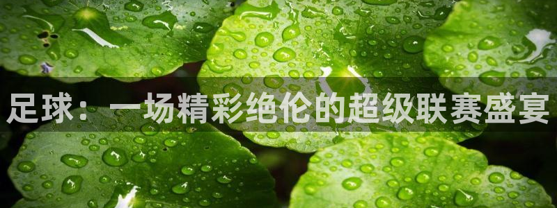 意昂3：足球：一场精彩绝伦的超级联赛盛宴