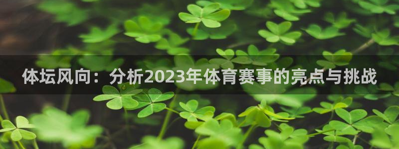 意昂代理：体坛风向：分析2023年体育赛事的亮点与挑战