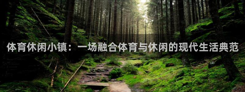 意昂3官网：体育休闲小镇：一场融合体育与休闲的现代生活典范