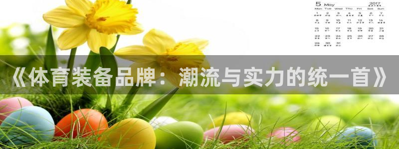 杏悦2平台注册：《体育装备品牌：潮流与实力的统一首》