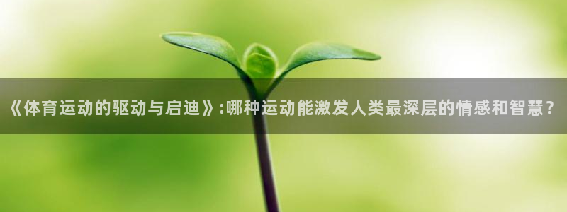 杏悦2体育f开号