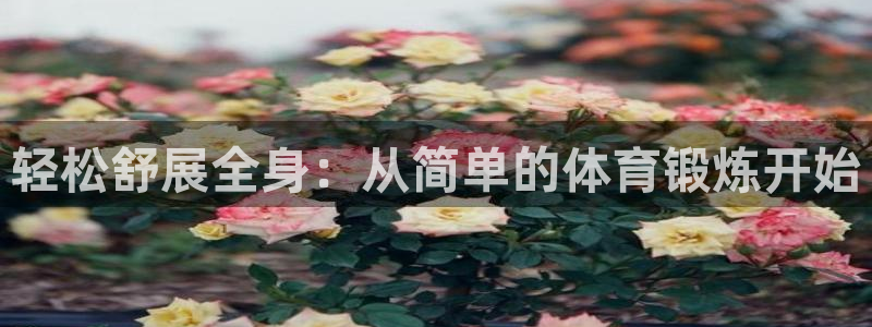 意昂体育官网登录：轻松舒展全身：从简单的体育锻炼开始