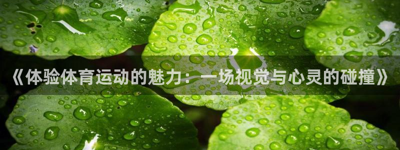 杏悦2登录：《体验体育运动的魅力：一场视觉与心灵的碰撞》