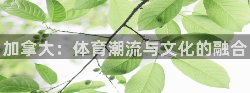 杏悦24官网：加拿大：体育潮流与文化的融合