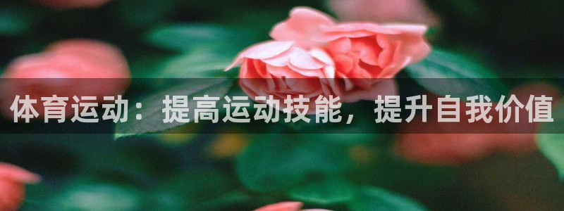东莞市大朗意昂五金厂：体育运动：提高运动技能，提升自我价值