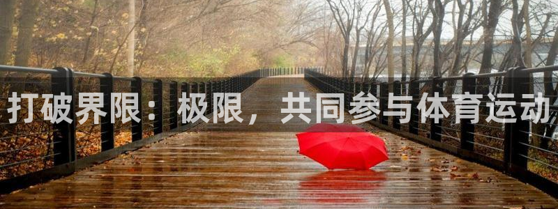 杭州意昂科技有限公司：打破界限：极限，共同参与体育运动