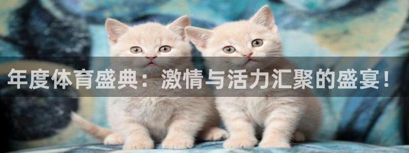 杏悦2凯捷开号链接：年度体育盛典：激情与活力汇聚的盛宴！