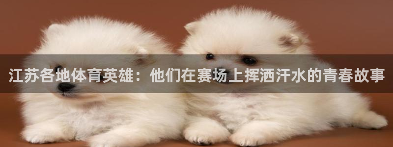 杏悦2体育免费注册入口：江苏各地体育英雄：他们在赛场上挥洒汗水的青春故事