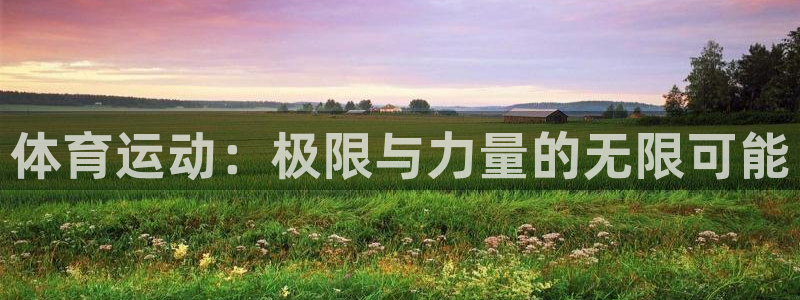 意昂代理：体育运动：极限与力量的无限可能