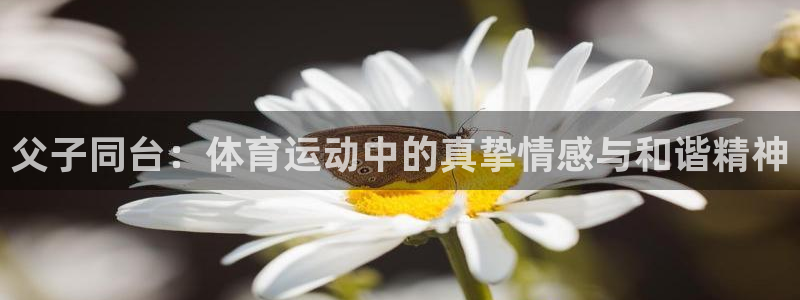 意昂：父子同台：体育运动中的真挚情感与和谐精神