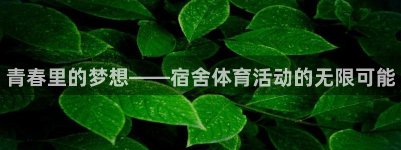 杏悦2平台主管：青春里的梦想——宿舍体育活动的无限可能