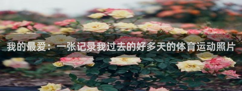 意昂官网注册：我的最爱：一张记录我过去的好多天的体育运动照片