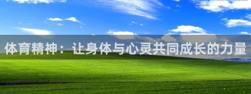 意昂官网：体育精神：让身体与心灵共同成长的力量