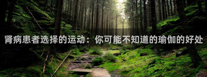 意昂官网：肾病患者选择的运动：你可能不知道的瑜伽的好处