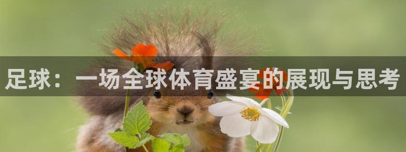 杏悦2体育2：足球：一场全球体育盛宴的展现与思考