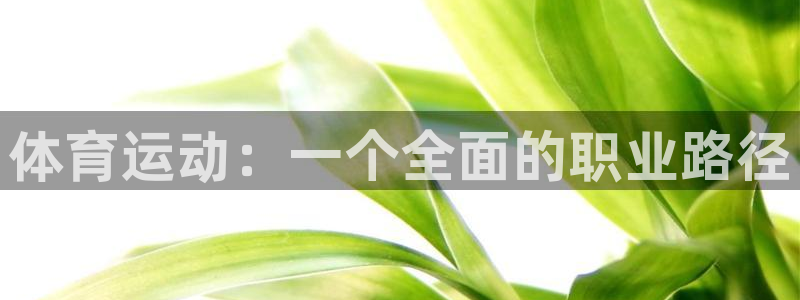 杏悦2体育：体育运动：一个全面的职业路径