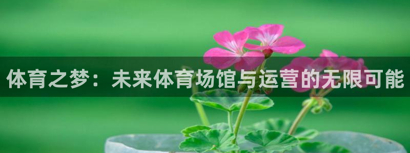 意昂招商：体育之梦：未来体育场馆与运营的无限可能