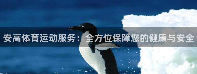 意昂体育官网：安高体育运动服务：全方位保障您的健康与安全