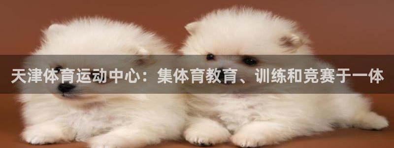 成都意昂电子有限公司：天津体育运动中心：集体育教育、训练和竞赛于一体