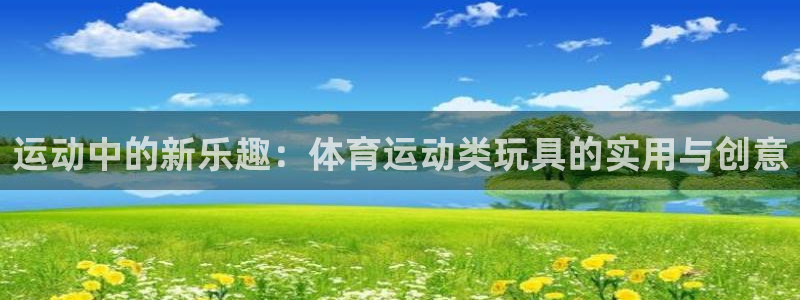 杏悦2体育凯捷平台注册：运动中的新乐趣：体育运动类玩具的实用与创意